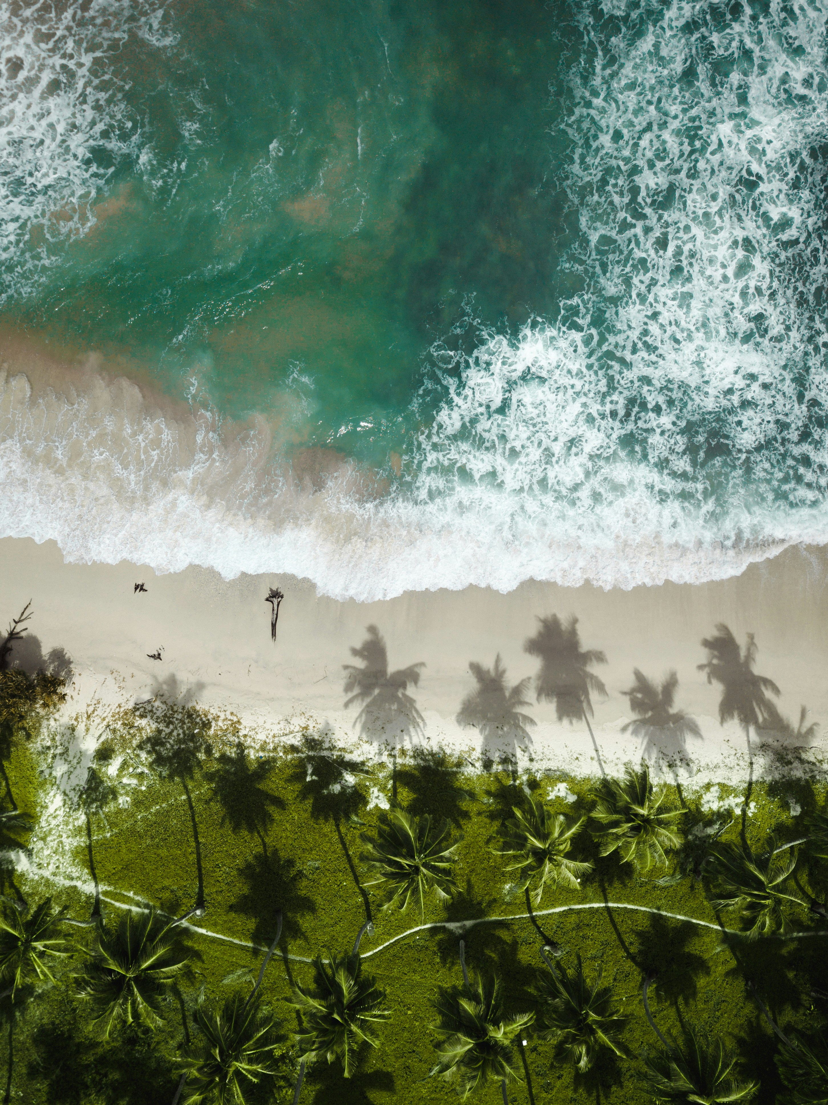 🏝️ ANDAMAN TOUR PACKAGES